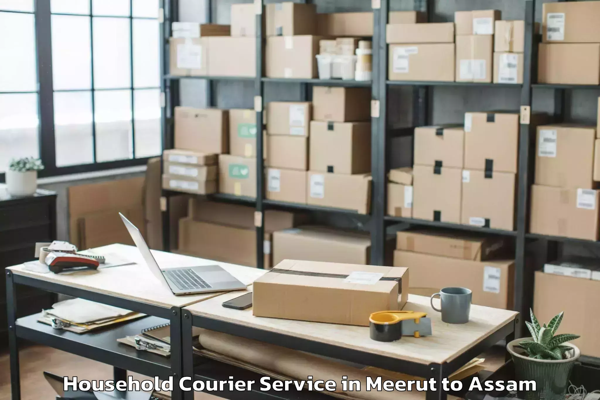 Expert Meerut to Biswanath Chariali Household Courier